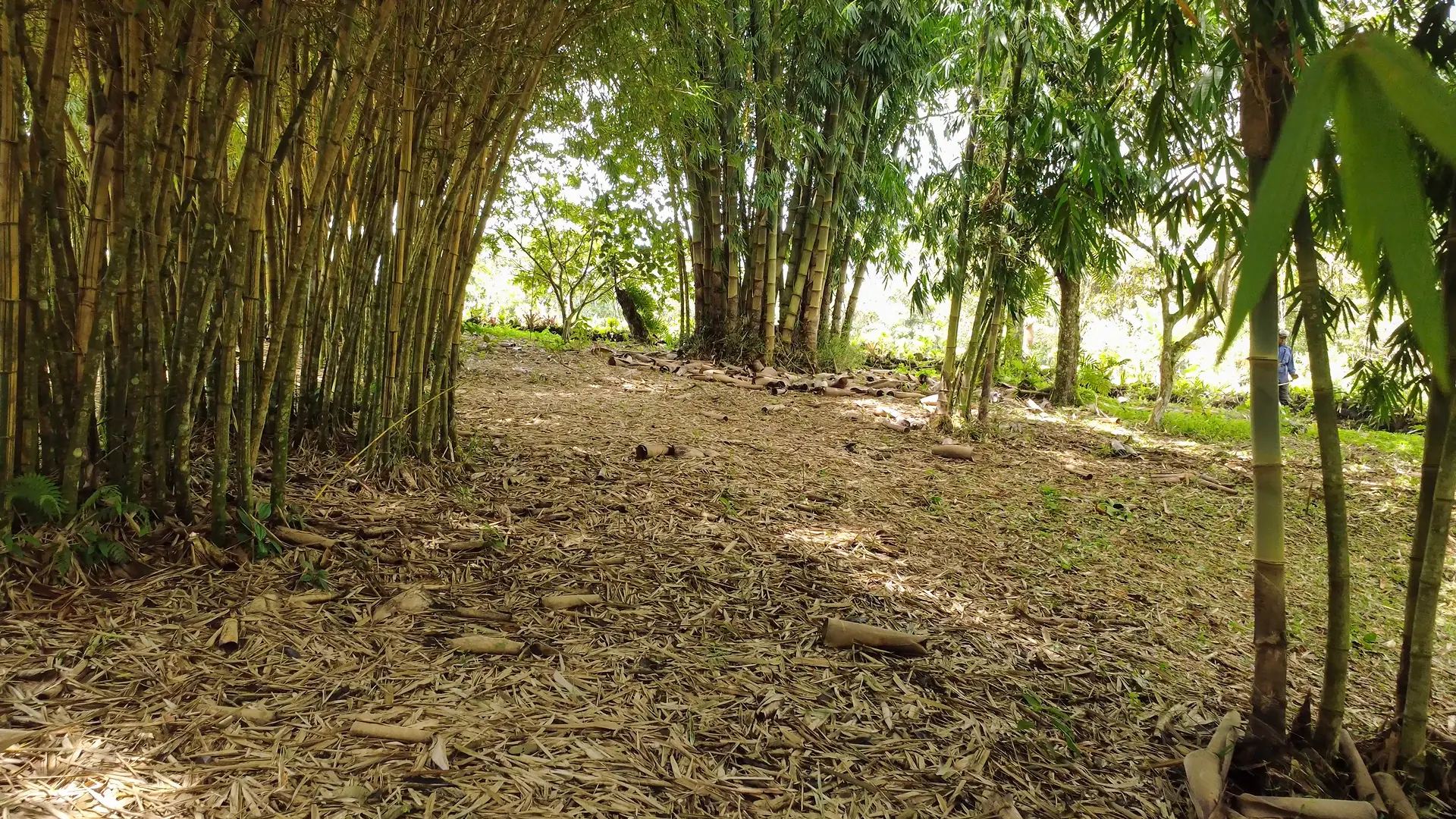 Rio Guanganza