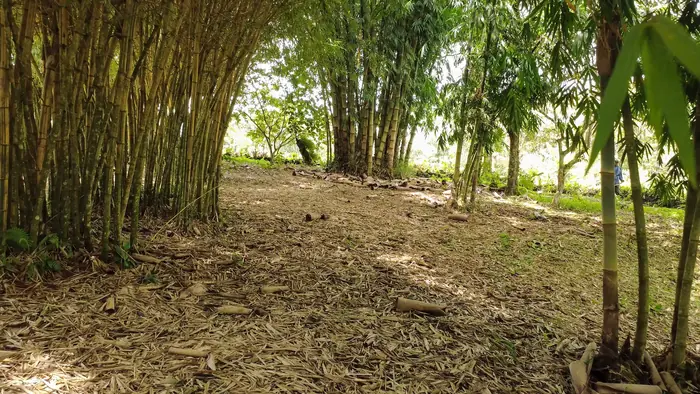 Rio Guanganza